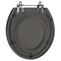 Tampa De Vaso Poliéster Avalon Fumê Transparente Para Louça Ideal Standard - 1