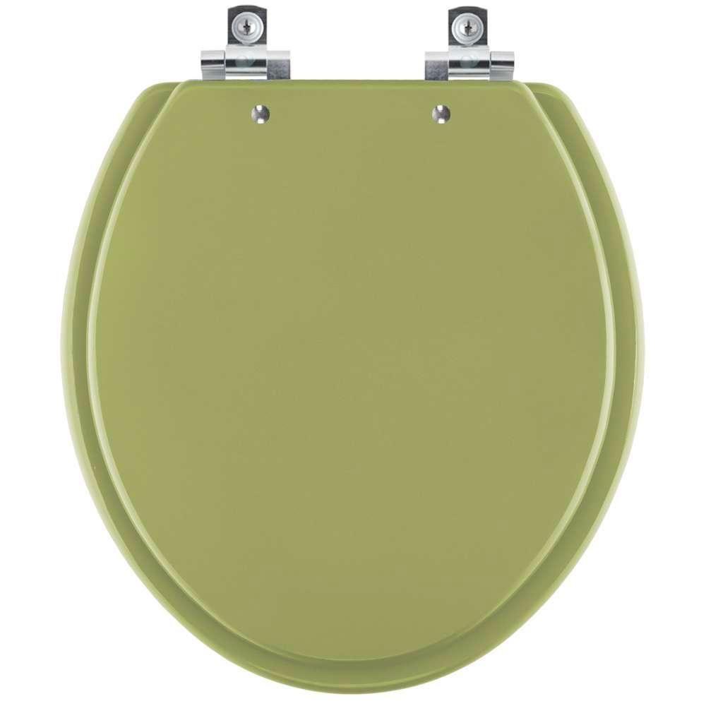 Assento Sanitário Soft Close Lirio Verde Itapoa Para Vaso Celite - 1