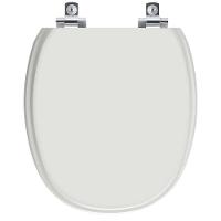 Assento Sanitário Soft Close Ascot Silver Para Vaso Ideal Standard - 1
