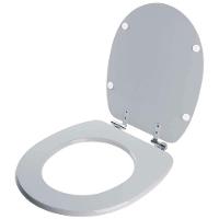 Assento Sanitário Soft Close Ascot Silver Para Vaso Ideal Standard - 2