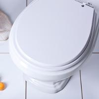 Assento Sanitário Poliéster Avalon Branco Para Vaso Ideal Standard - 6