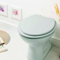 Assento Sanitário Flamingo Verde Agua Para Vaso Incepa - 6