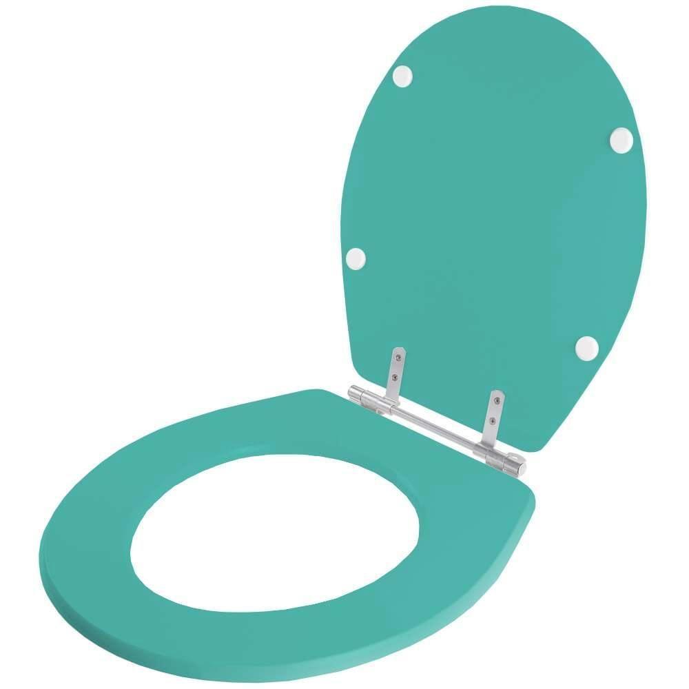 Assento Sanitário Avalon Acquamarine Para Vaso Ideal Standard - 2