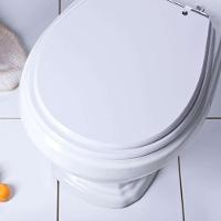 Assento Sanitário Avalon Branco Para Vaso Ideal Standard - 6