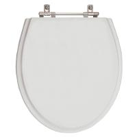 Assento Sanitário Ritz Cinza Real (cinza Claro) Para Vaso Deca - 1