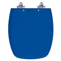 Assento Sanitário Laqueado Soft Close Stylus Azul Mineral Para Vaso Celite - 1