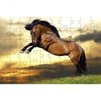 Kit 2 Quebra-cabeça Inclusivos Beleza De Cavalos Em 60 Peças - 2