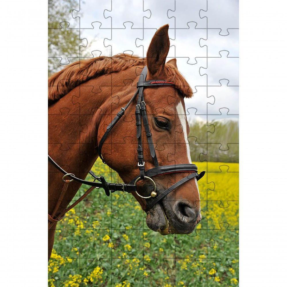 Kit 4 Quebra-cabeças De Cavalos Diversão Inclusiva E Inteligente 24 Peças Grandes - 1