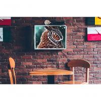 Quebra-cabeça Inclusivo 300 Peças Corujas Que Encantam E Ensinam - 2