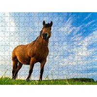 Quebra-cabeça Inclusivo 300 Peças Cavalos De Elite Que Encantam E Ensinam - 1