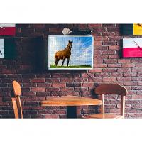 Quebra-cabeça Inclusivo 300 Peças Cavalos De Elite Que Encantam E Ensinam - 2