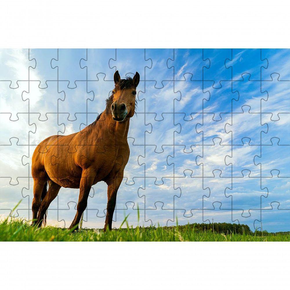 Kit 2 Quebra-cabeças Inclusivos 60 Peças Cavalos Para Mentes Inteligentes - 2