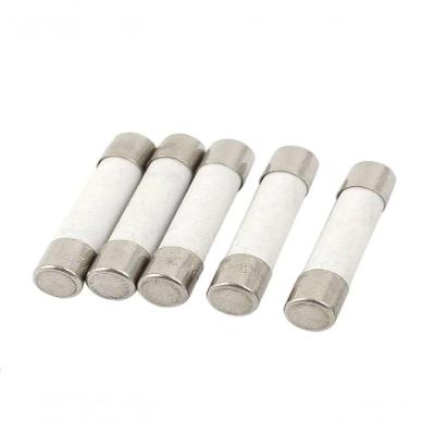 Fusivel Ceramico 20a 250v 6x30mm 3ag Latao Gde (emb C- 10)