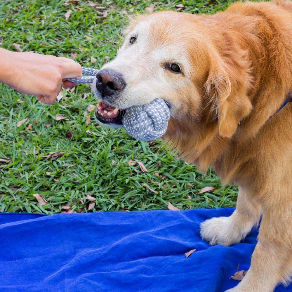 Brinquedo De Corda Para Cães Oikos Animal - 2