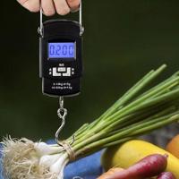 Balança Portátil Digital De Mão Com Gancho Mala Bagagem Pesca Alça Mala Até 50kg Alta Precisão Preto