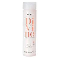 Bré Divine Absolutely Smooth - Shampoo 250ml - 1