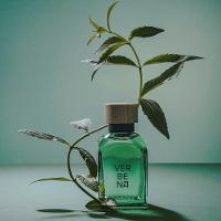 Adolfo Dominguez Verbena Eau De Toilette - Perfume Masculino 120ml - 3