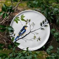 Conjunto De Pratos De Sobremesa 06 Peças Bio Birdy Porto Brasil - 3