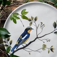 Conjunto De Pratos De Sobremesa 06 Peças Bio Birdy Porto Brasil