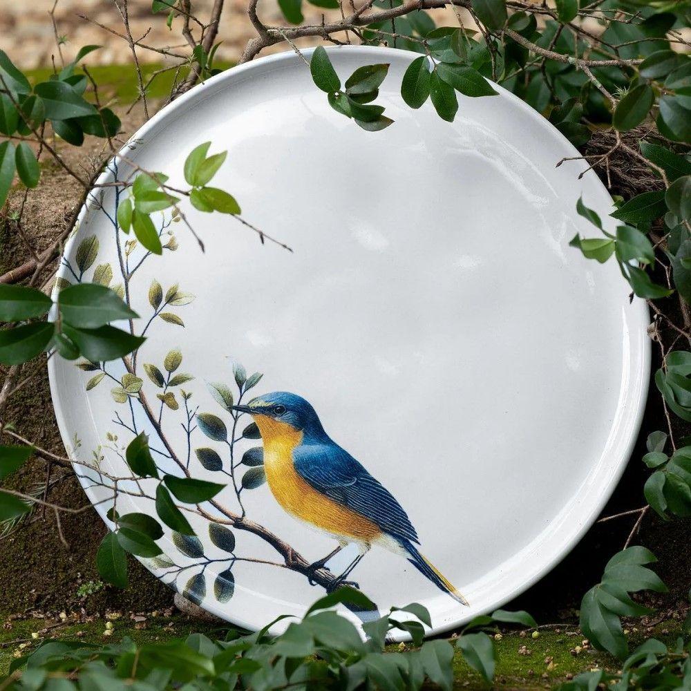 Conjunto De Pratos Rasos 06 Peças Bio Birdy Porto Brasil - 3