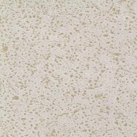 Conjunto De Pratos Fundos 06 Peças Orgânico Vanilla Porto Brasil - 6