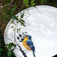 Jogo De Pratos 18 Peças Bio Birdy Porto Brasil - 7