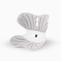 Almofada Apoio Lombar Cadeira Correção De Coluna Gg - Cinza - 1