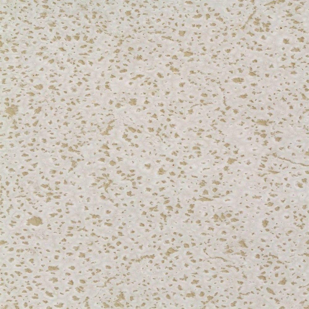 Conjunto De Pratos Rasos 06 Peças Orgânico Vanilla Porto Brasil - 8