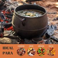 Caldeirão Bojudo Com Tampa 14 Cm 2 L Em Ferro Fundido Panela Mineira - 6
