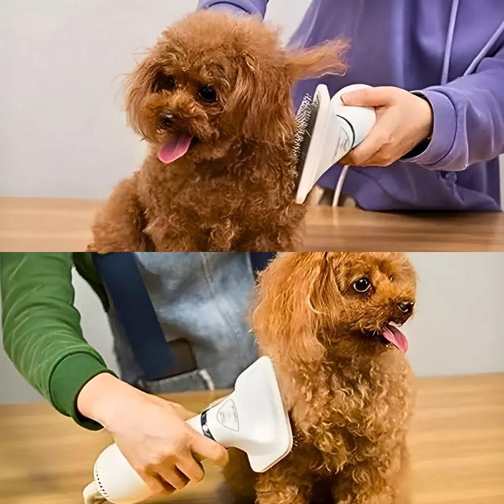 Secador 2 Em 1 Elétrico Removedor De Pelos Para Pets - 110V - 3