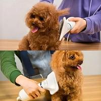 Secador 2 Em 1 Elétrico Removedor De Pelos Para Pets - 110V - 3