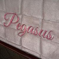 Colchão Hellen Pegasus Molas 1,58x1,98x0,30 Bege - 5