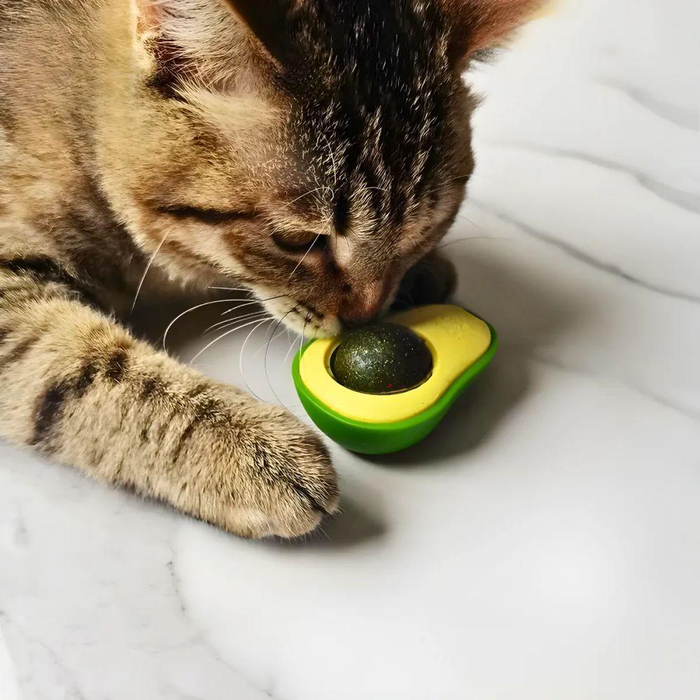 Abacate De Brinquedo Com Catnip Para Gatos - Verde - 4