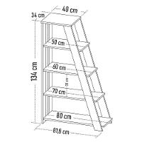 Estante Escada Multiuso Decorativa 5 Prateleiras Stela A06 Preto - Mpozenato