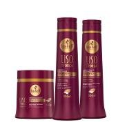 Kit Shampoo Condicionador E Máscara Disciplinante Liso Com Força Haskell 500ml - 1