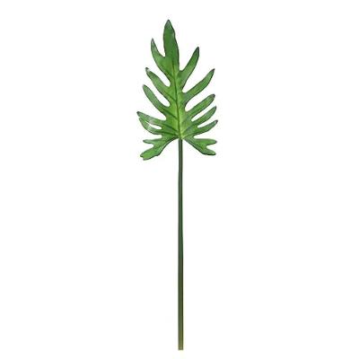Folhas Decorativas Permanentes - Costela De Adão 84cm Verde - 6 Hastes