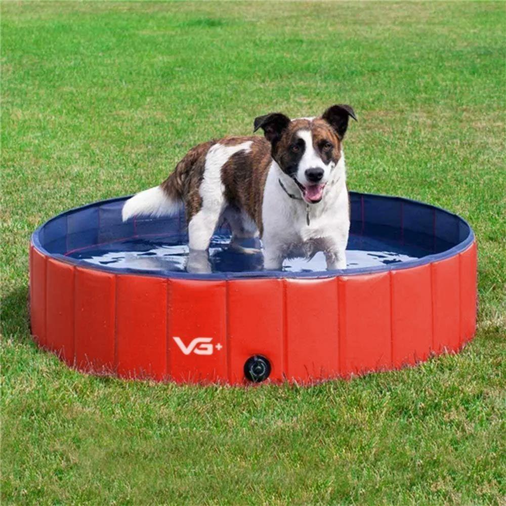 Piscina Para Pets Animais De Estimação 160x30cm Vermelha Vg+ - 3