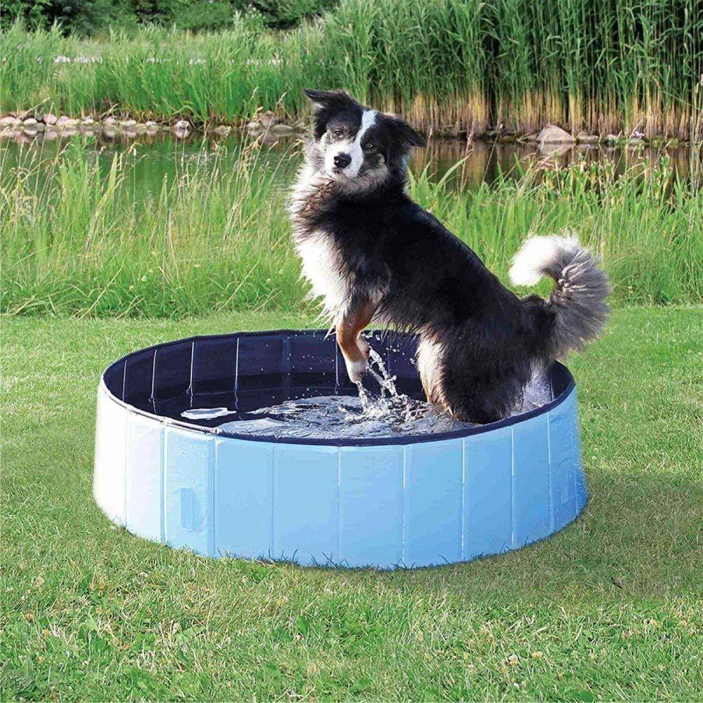 Piscina Para Cachorro Pets Dobrável Lisa Azul Vg+ - 4