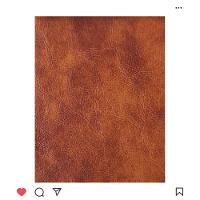 Conjunto 2 Cadeiras Londres Couro Caramelo Metal Champanhe - 2