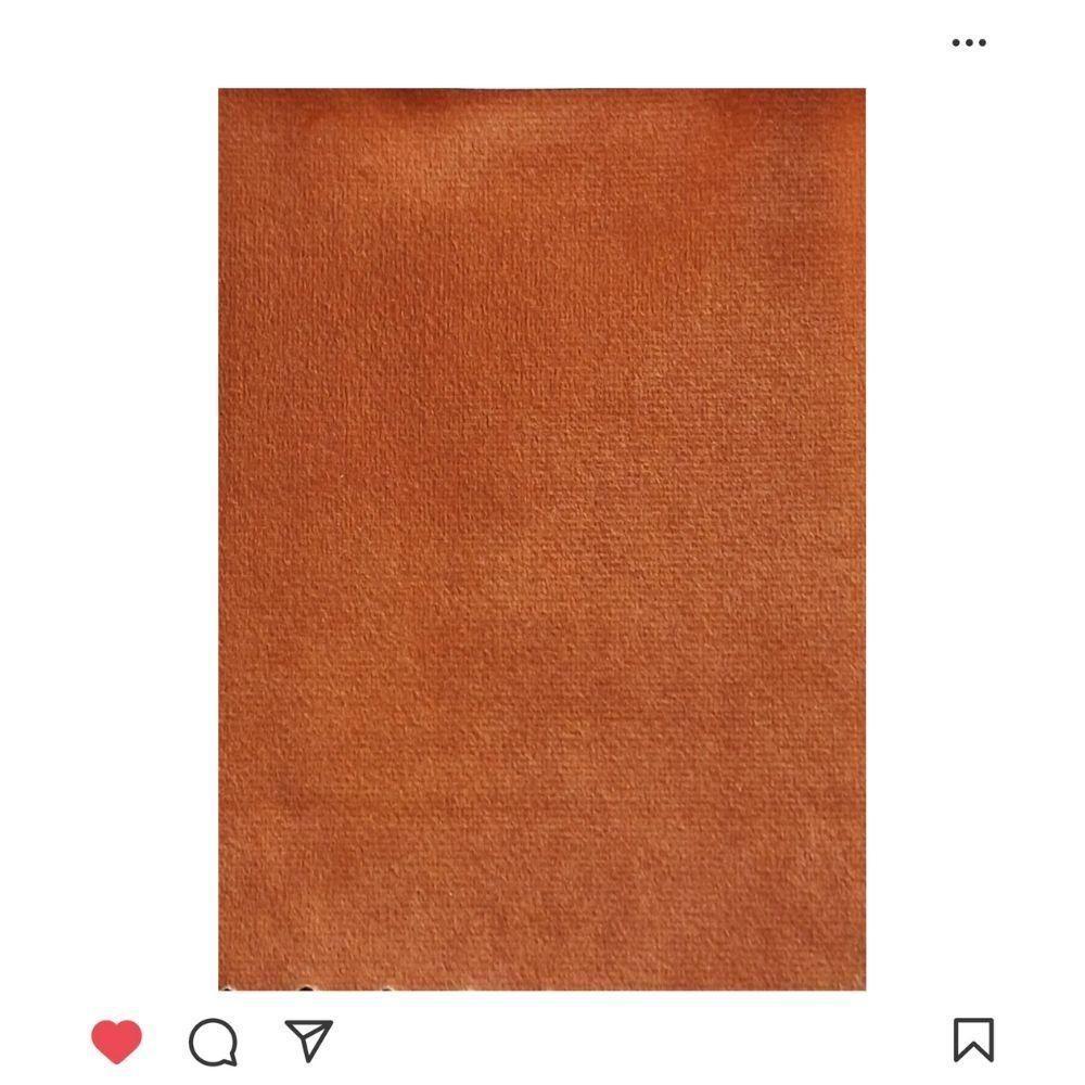 Conjunto 2 Cadeiras Londres Veludo Terracota Metal Preto - 2