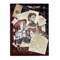 Pasta Catálogo Ofício Com Lombo Ajustável + 10 Envelopes Dac Harry Potter - 1