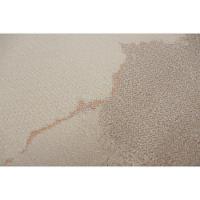 Tapete Para Sala Origem Claro 2,50x3,50 São Carlos - 1