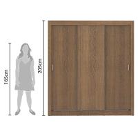 Guarda Roupa Casal Lyon 3 Portas de Correr Rustic Madesa - 15