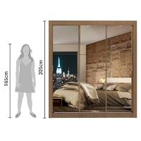 Guarda Roupa Lyon 3 Portas Correr com Espelho Rustic Madesa - 7