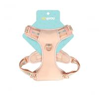 Peitoral Para Pet Salmao - G Salmão - 1