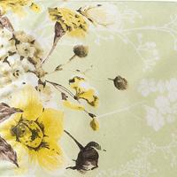 Jogo De Cama Lençol Solteiro Minuano 100% Algodão 2 Peças - Verde - 100% Algodão - 1