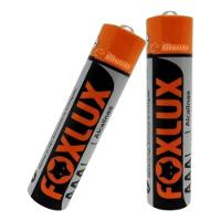 Pilha Alcalina Palito Aaa 2 Un Foxlux - 3
