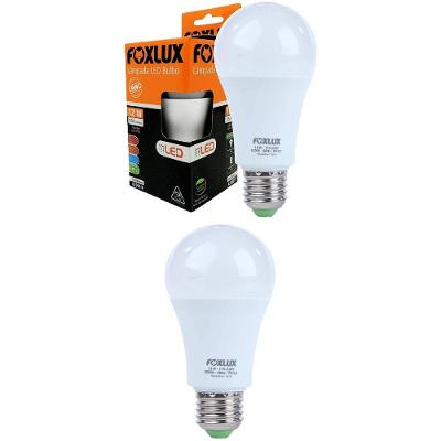 Kit 2 Lâmpada Led Bulbo 12w 6500k Com Base E-27 Bivolt Foxlux