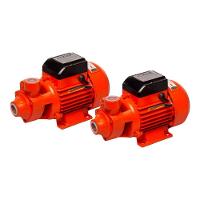 Bomba D'água Periférica 1 Cv 750w Bivolt 2 Unidades Foxlux - 1