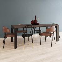 Mesa De Jantar Bronx U 200x90x77cm Brmj9200u Terracota - Est.preta Terracota/est.preta - 2